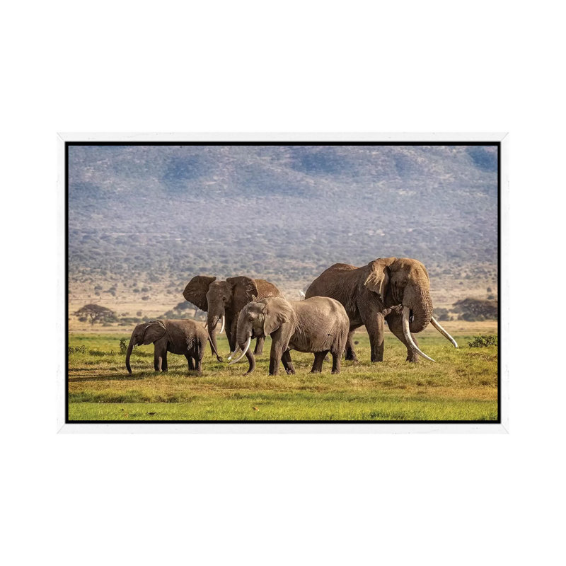 Elephant Family In Amboseli Kenya by Susan Richey - Gallery-Wrapped Canvas Giclée on Canvas, White Framed
