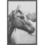 Brooklyn Bound Wild Heart by Ann Barnes - Single Picture Frame Print-1902024834