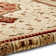 Brandonville Cream/Brown Rug