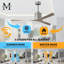 Molly 56" Ceiling Fan-2045921688-2045921767