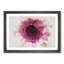 Heart of a Pink Gerbera in Abstract - Picture Frame Graphic Art Print-55763039-55763042