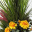 Marigold Medows en pot