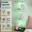 Display Cabinet-1880983951