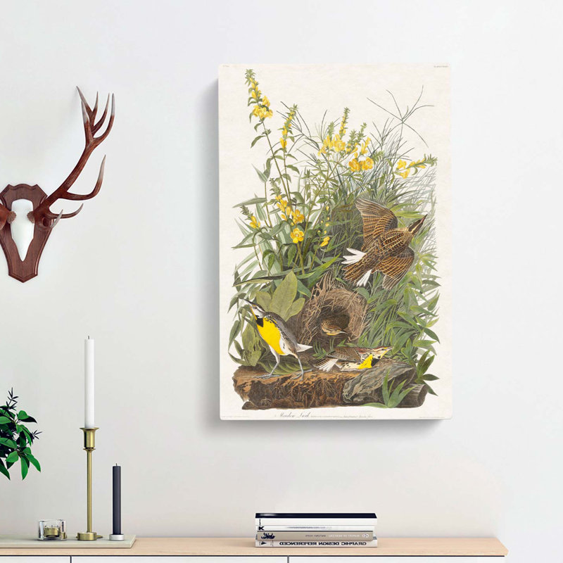 Meadow Larks by John Audubon - Wrapped Canvas Painting, 60cm H x 40cm W x 3cm D