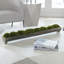 Natural Fibres Moss Arrangement in Planter