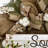 Southern Charm Blossoms Floral Wreath