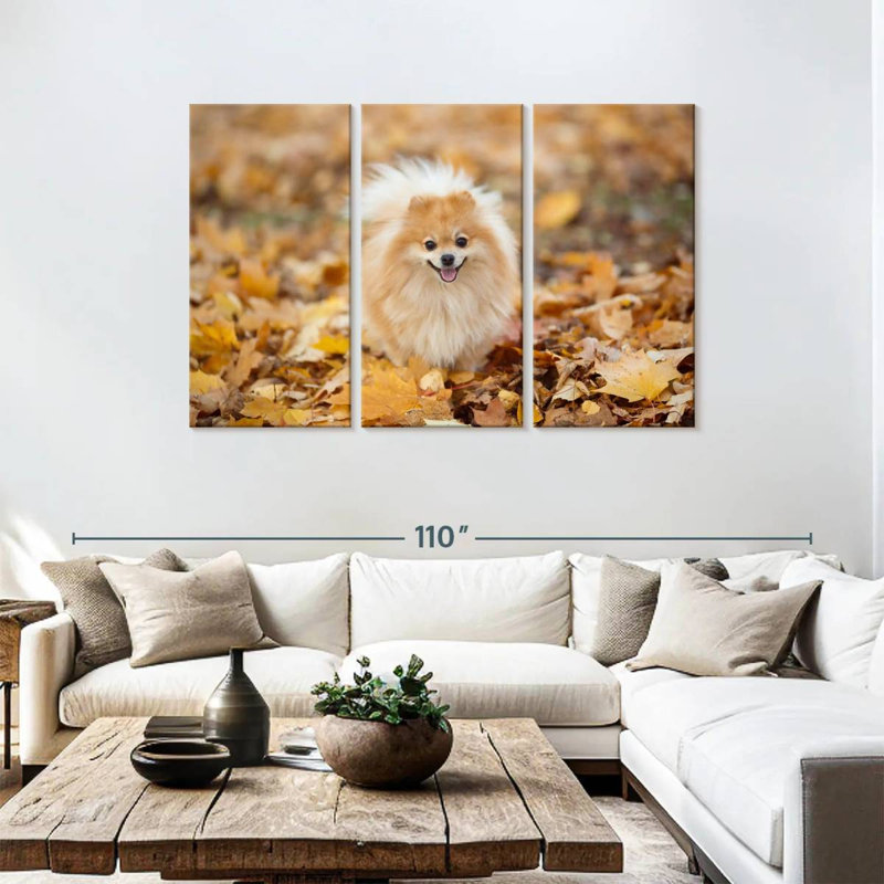 Brampt German Spitz On An Autumn Walk, 48" H x 74" W