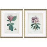 Magnolia & Rhododendrum Giclee Print by Paul Cezanne