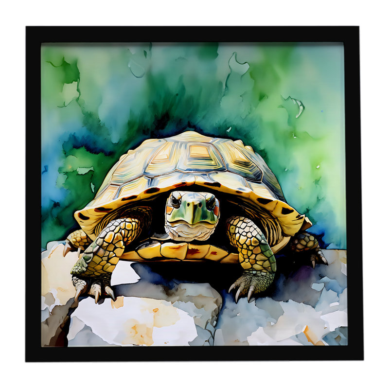 Turtles Tortoises Framed Metal Print