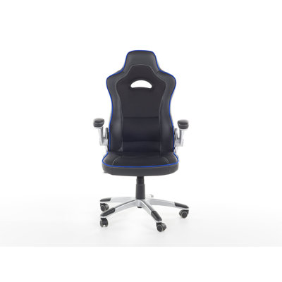 Symple Stuff Spennymoor Adjustable Height and Tilting PC & Racing Game Chair in Black