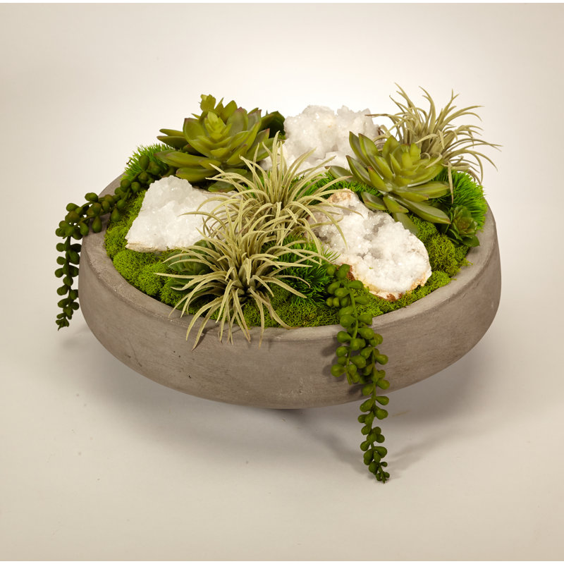 Succulent in Concrete Decorative Vase, Quartz