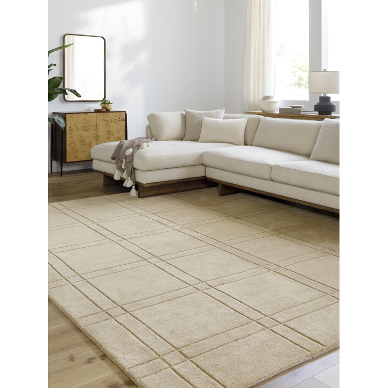 Sioeli Tan Hand Tufted Area Rug, Rectangle 5' x 8'