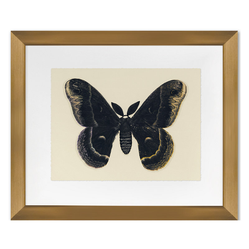 Flutter 1 Print by Todaro, Katie