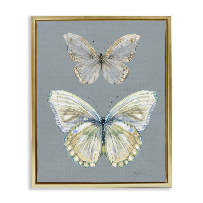 Cadre flottant Papillon, étude par Carol Robinson, Cadre flottant métallique doré, H 21 po x l 17 po