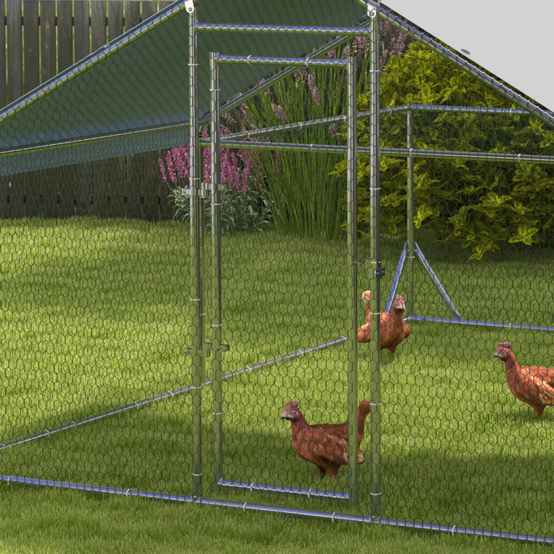 129m² Walk In Chicken Run
