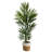 84'' Faux Palm Tree in Planter