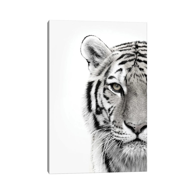 White Tiger - Print on Canvas, 66.04cm H x 45.72cm W x 3.81cm D, Wrapped Canvas