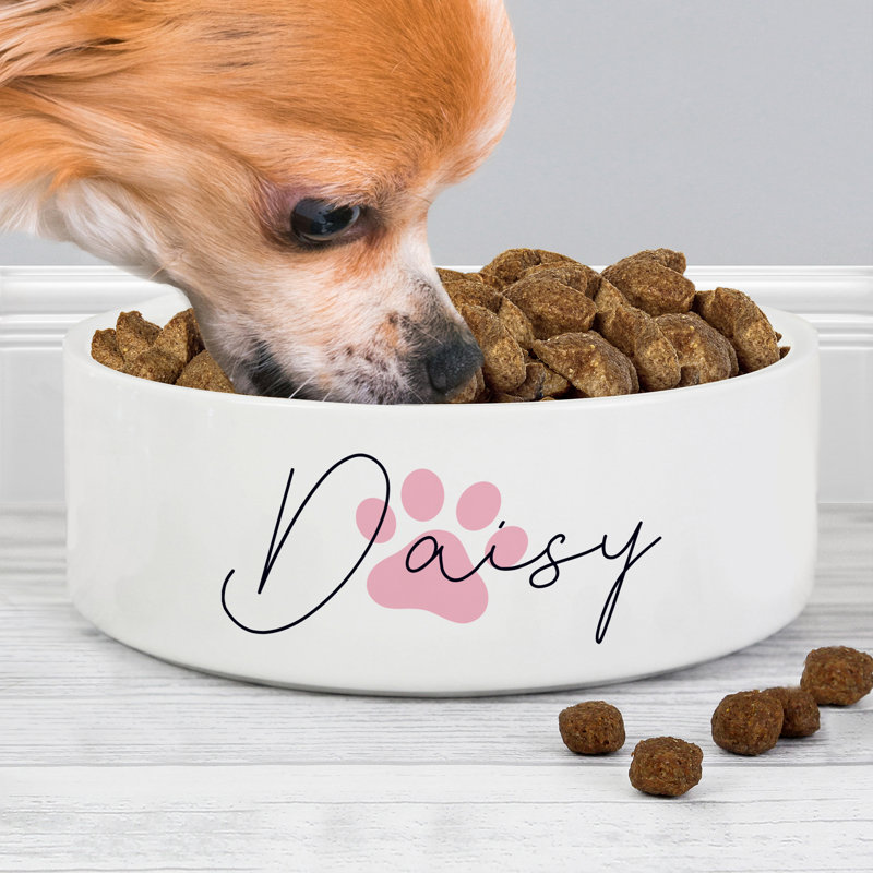 Shorehamby Pet Bowl