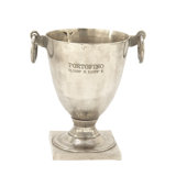 Ice Bucket