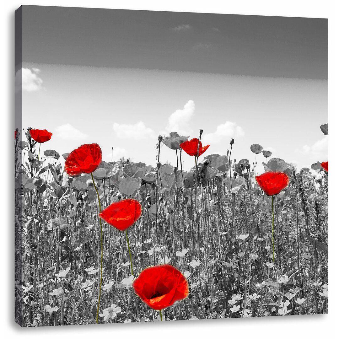 Leinwandbild Schöner rot leuchtender Mohn