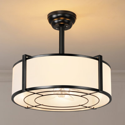 19'' Modern Ceiling Fan With Light