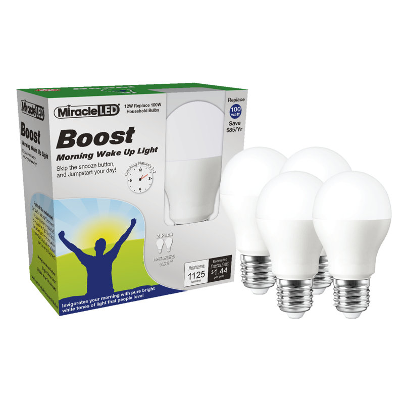 100 Watt Equivalent E26/Medium (Standard) LED Light Bulb