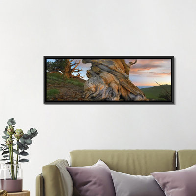 Reproduction de photo sur toile