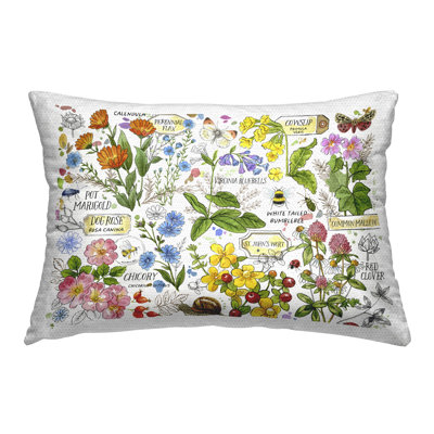 Various Herbs Benefits Printed Outdoor Throw Pillow Design by Jane Maday