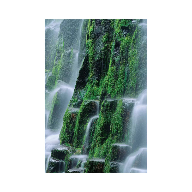 USA, Oregon, Three Sisters Wilderness. Close-up of Proxy Falls. 1 Piece Wrapped Canvas Wall Art, 66.04cm H x 45.72cm W