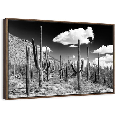 Arizona noir - forêt de cactus