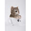 Figurine de chaton Teacup Tabby-20582133