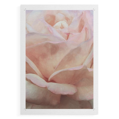 Soft Flower Petals I -Canvas Print Only - NOT FRAMED