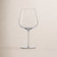 Vervino Crystal Red Wine Glass