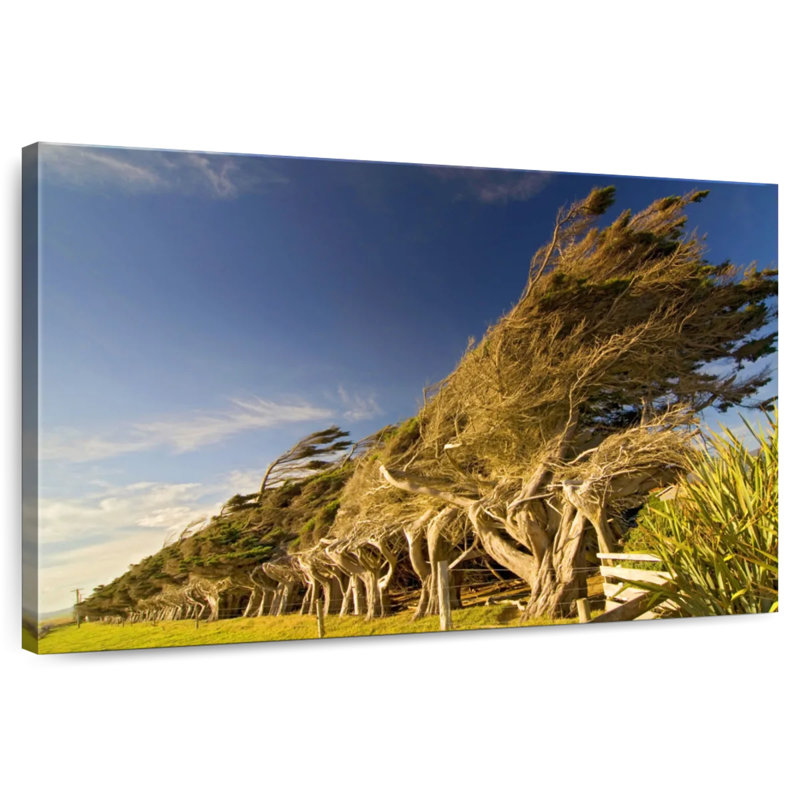 Slope Point Forest, 26" H x 39" W