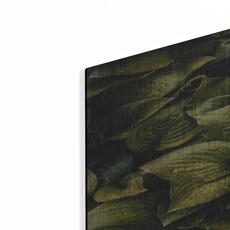 " Hostas Leaves " by Incado