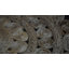 Tapis Anamaria tissé à la main en jute écologique - 183 x 183 cm, rond, blanc, motif oriental, poils courts, fibres naturelles, tapis d'intérieur/extérieur fait main pour salon, chambre-507889890-525296755