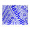 Tapis bleu de à tissage plat rand cites city barhood districts
