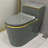 Dual-Flush Elongated One-Piece Toilet (Seat Included)