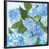 Black Framed Canvas is unavailable