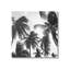 Sunlit Palm Tree, photographie d'art numérique par Natalie Carpentieri-2124677191-2124691544