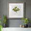 «Pressed Clover I», reproduction encadrée de qualité supérieure - prête à être accrochée-1872520561-1872557678-1872557684