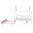 Aashini Kids Platform with Trundle-1154664063-1154664061