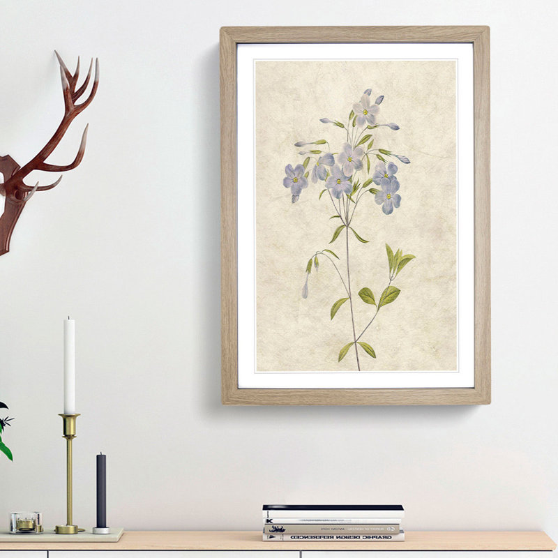 Lilac Phlox Flowers by Pierre-Joseph Redoute - Picture Frame Painting Print, 36cm H x 27cm W x 2cm D, Oak Framed