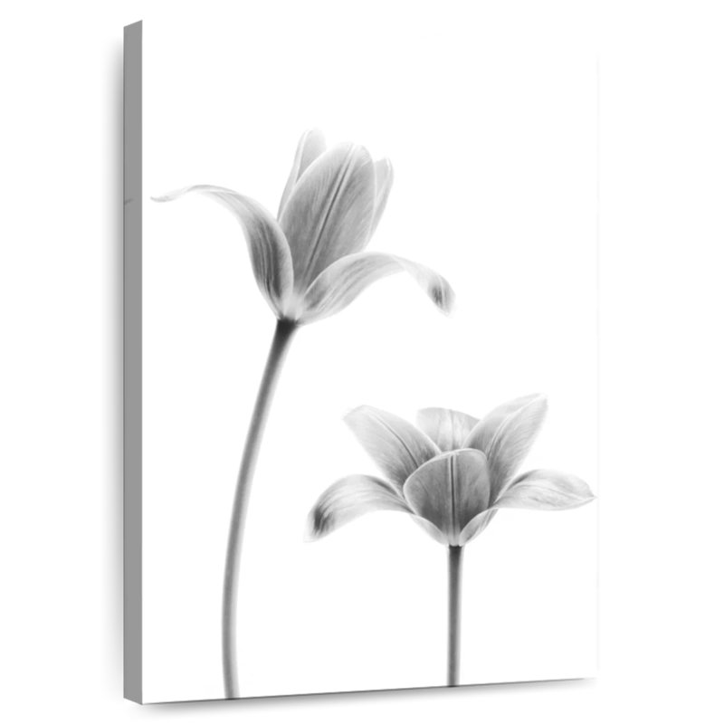 Harnek First Tulips, 45" H x 30" W