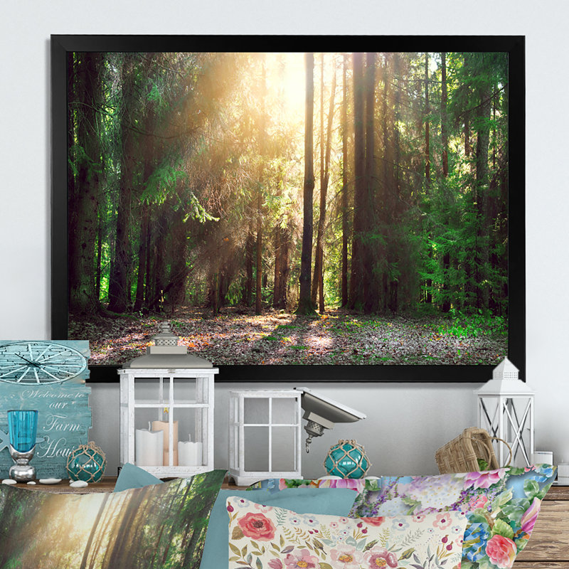 Sun Rays In Misty Old Forest III - reproduction d'art sur toile, H 8 po x l 12 po x P 1 po, Toile avec cadre noir