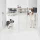Wall Mounted Pet Gate with Silver Latch