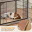 Pet Crate with 2 Doors