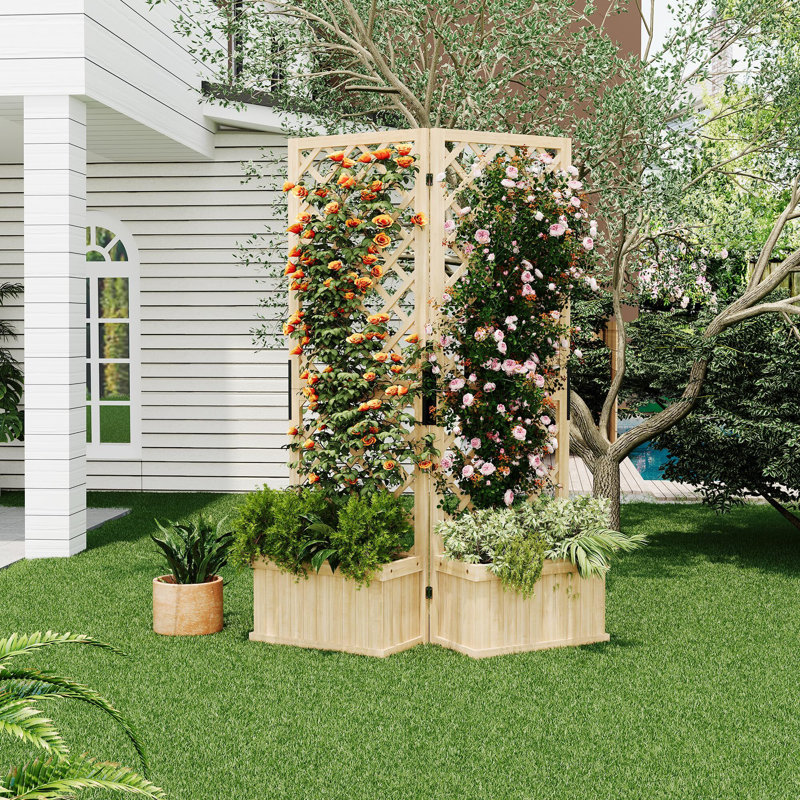 Paravent Cedar