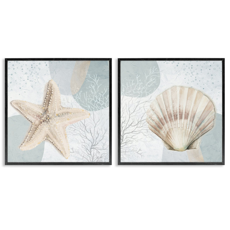 Scallop Starfish Sealife, ensemble de 2 giclées par Patricia Pinto, H 24 po x l 24 po, Giclée encadrée noir minuit