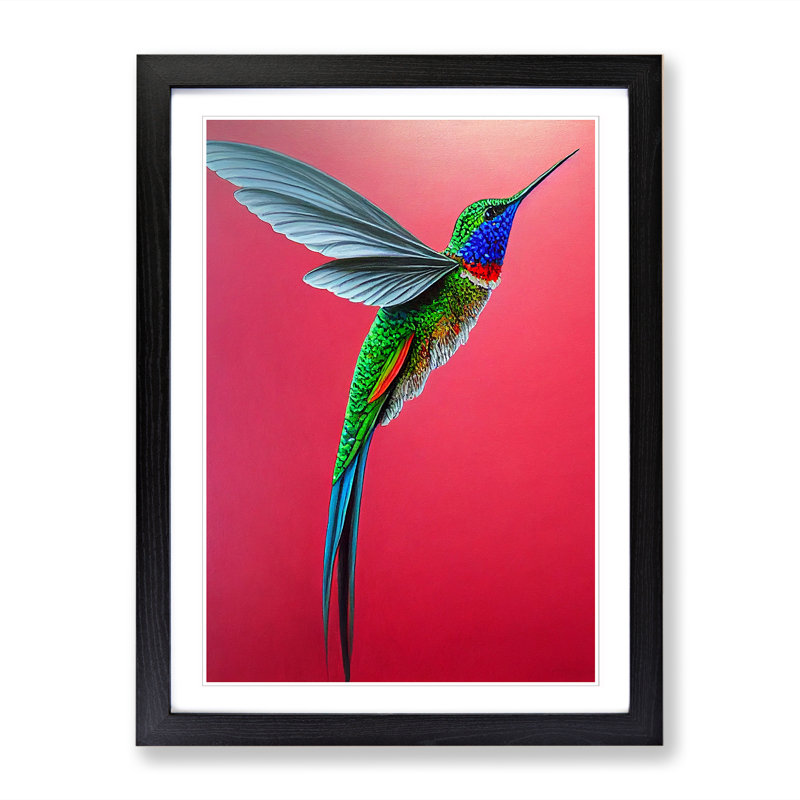 Northlakes Hummingbird Traditional Vol.3 - Picture Frame Print, 64cm H x 46cm W x 2cm D, Walnut